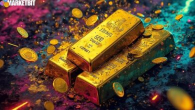 Stablecoins and Gold: Market Speculation
