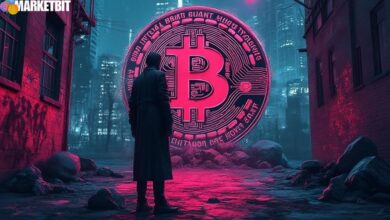 Alleged 1,000 Bitcoin Purchase Lacks Verification