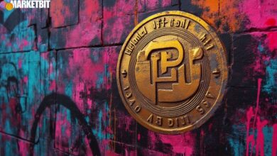 $TRUMP Coin's Market Volatility Examined