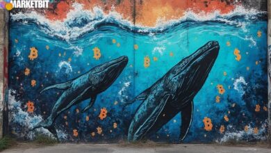 Bitcoin Whales Accumulate as Market Signals Shift