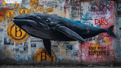 Trump Insider Whale Denies Trading Allegations, Bets Big on Bitcoin Short