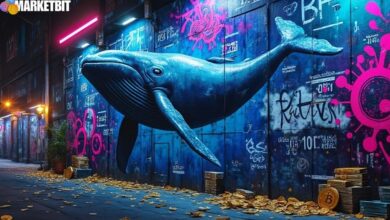 Whales Accumulate Bitcoin Amid Market Dips