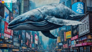 Whale Investments Boost Aster's Market Position