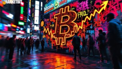Bitcoin Market Concerns and Economic Impact