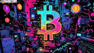 Understanding Bitcoin as a Liquidity Barometer