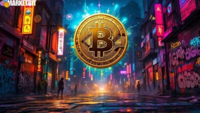 Bitcoin Signals Suggest Possible 100% Rally Ahead