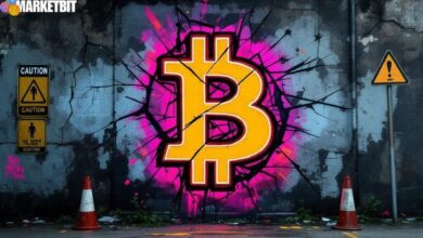 Heightened Risk of Cryptocurrency Market Correction