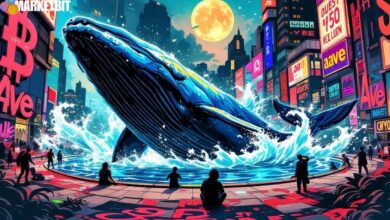 USDT Withdrawal by Whale Impacts Aave