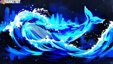 Solana Whale GJwCUj Sells $4.18M SOL at Loss