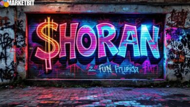 Pump.Fun Withdraws $436.5M USDC, Token Drops 24%