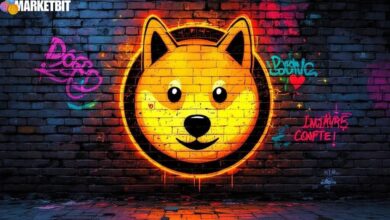 Speculative Dogecoin Rally Lacks Solid Evidence