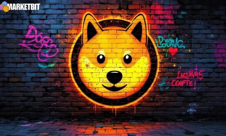 Speculative Dogecoin Rally Lacks Solid Evidence