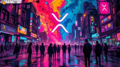 XRP Market Volatility and Strategy Analysis