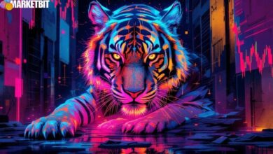 Zcash's Recent Price Dynamics