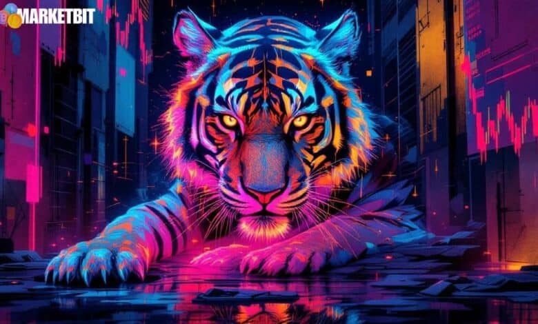 Zcash's Recent Price Dynamics