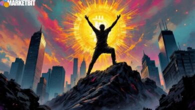 Bitcoin Cash's Successful 2025 Performance