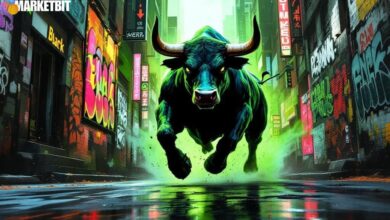 Polkadot Faces Pressure; Potential Rebound Signs Detected