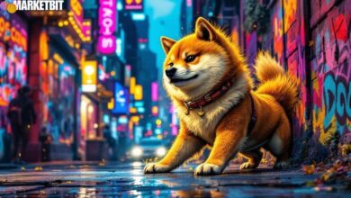 Dogecoin Targets $1 Amid Strong Market Momentum