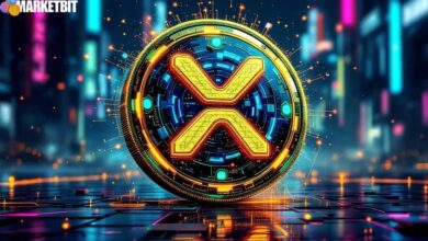 Hex Trust Launches Wrapped XRP to Boost DeFi Utility