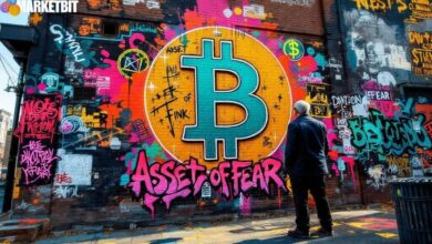 BlackRock's Larry Fink Describes Bitcoin as 'Asset of Fear'