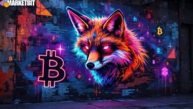 MetaMask Integrates Native Bitcoin Support for Users
