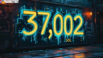 New Solana Wallet Withdraws $4.84M SOL from Binance