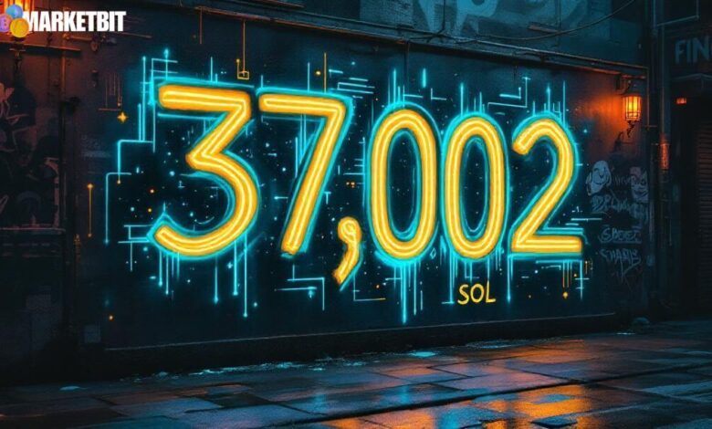 New Solana Wallet Withdraws $4.84M SOL from Binance