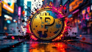 Security Concerns Emerge for PEPE Coin Amidst Alleged Website Breach