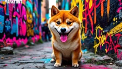 Shiba Inu's Circulating Supply Challenges Price Rally