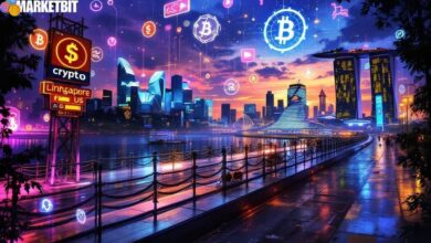 Singapore Leads Global Crypto Adoption, Surpassing US