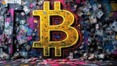 Bitcoin's Role in Economic Discourse