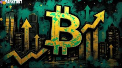 Whales and Sharks Signal Bullish Bitcoin Shift