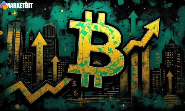 Whales and Sharks Signal Bullish Bitcoin Shift