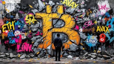 Bitcoin Price Drop Analysis