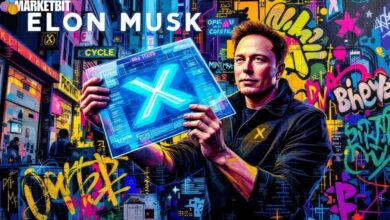 Elon Musk's Bi-Monthly Open-Sourcing of X Algorithm