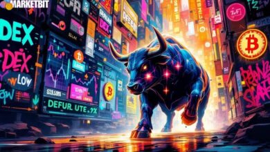 BisonFi's Impact on Solana