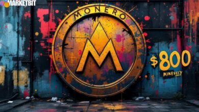 Monero Surpasses $800 Amid Growing Privacy Trade Focus