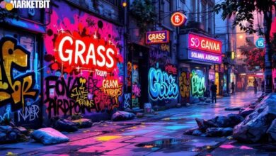 Solana-Based GRASS Network Attracts Significant Investor Attention