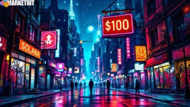 Solana Faces Potential Price Drop Amid ETF Inflows