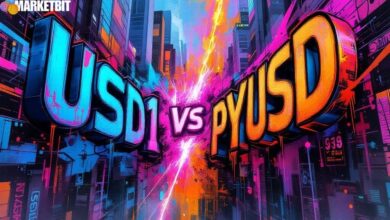 WLFI's USD1 Surpasses PayPal's PYUSD in Market Cap