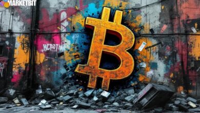 Bitcoin Search Volume Peaks Amid Sudden Price Drop